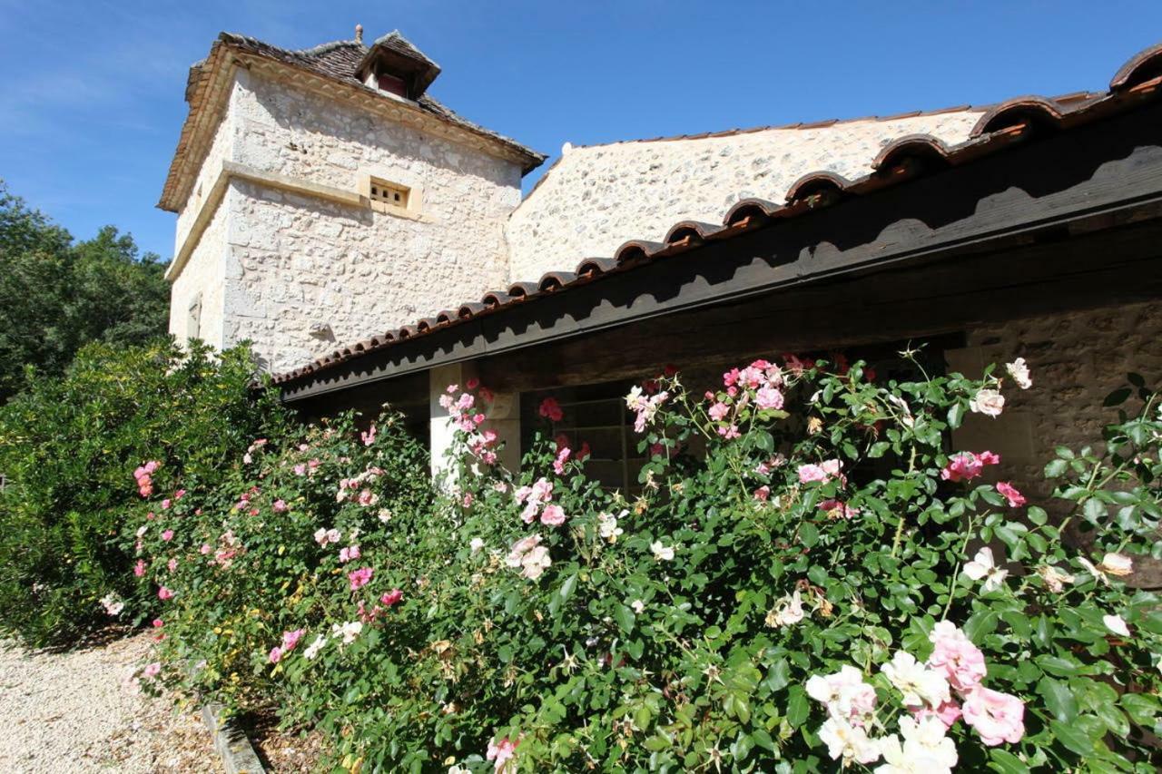 Domaine Du Merlot Sainte-Sabine-Born Exterior foto